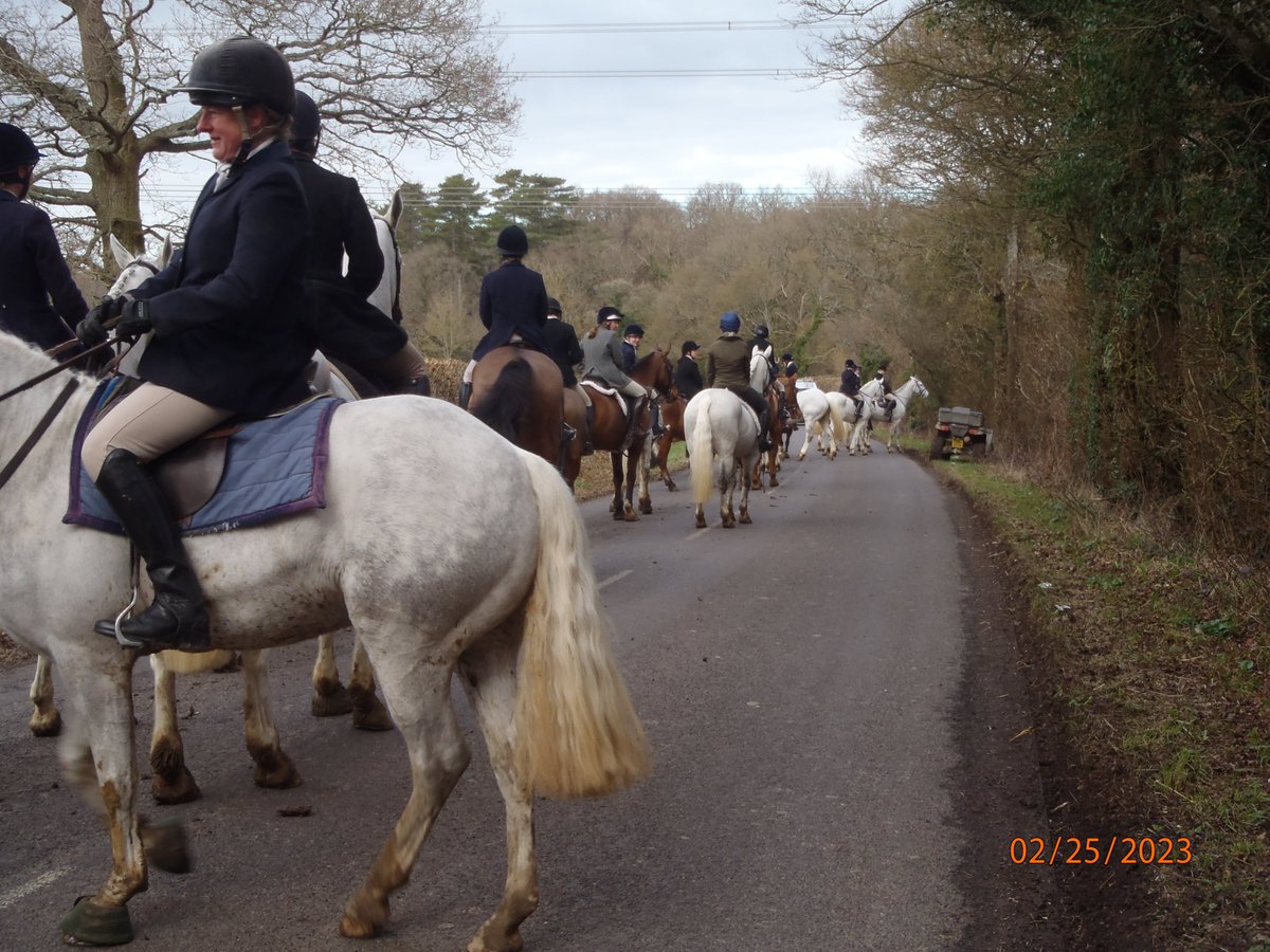 westsussexhuntsabs tweet media