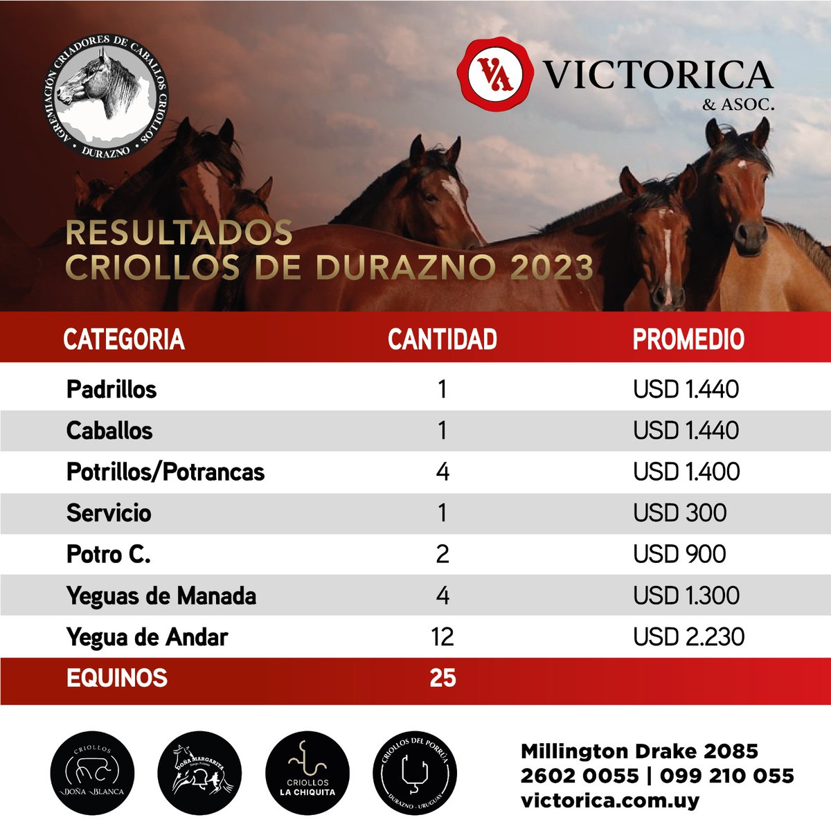 Resultados de las ventas de Criollos de Durazno
#SellodeValor