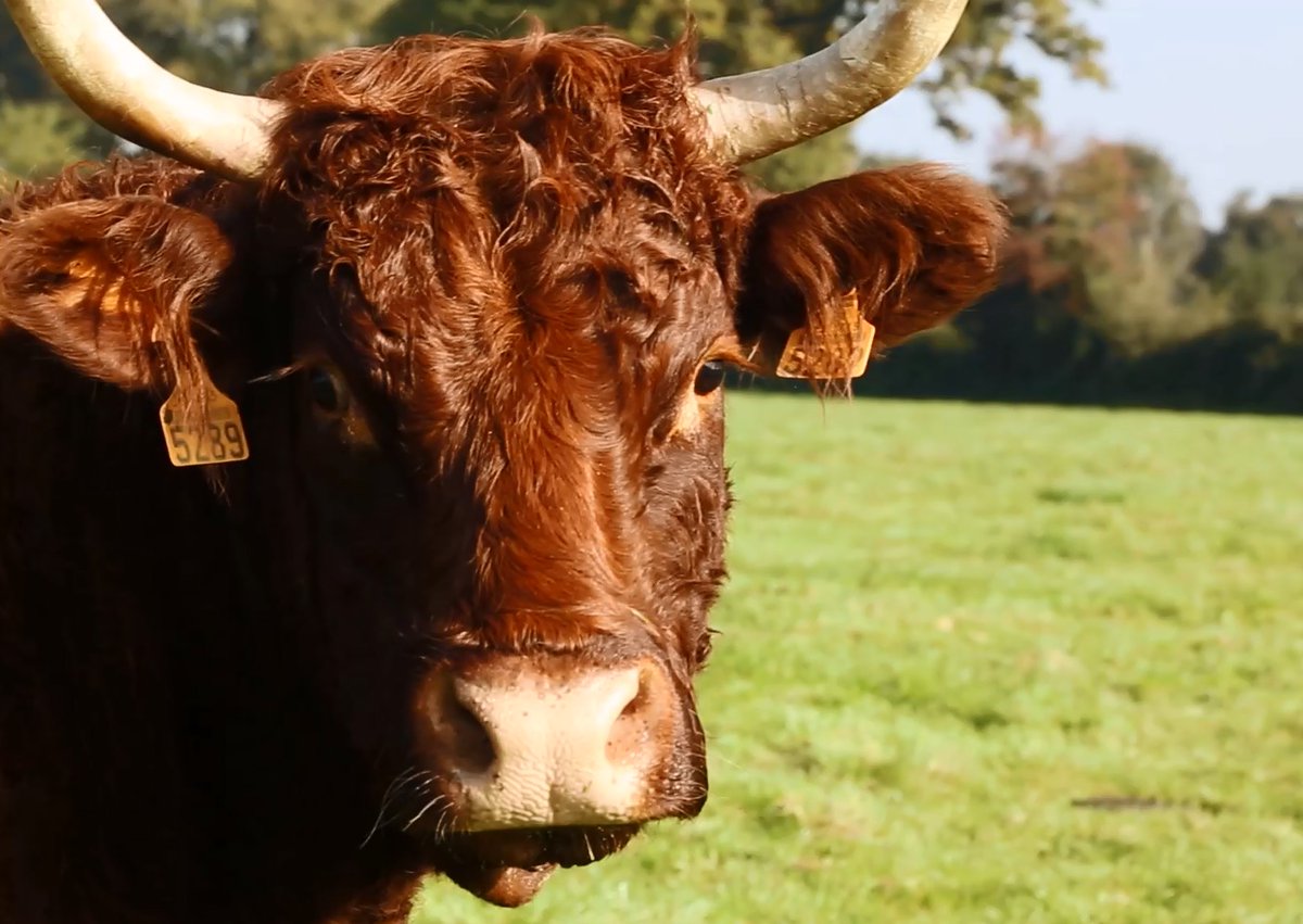 Retrouvez la note de conjoncture de février 2023. Les cotations bio sont désormais disponibles.
coordinationrurale.fr/wp-content/upl… 
Pour la recevoir tous les mois, rendez-vous sur coordinationrurale.fr/sections/viand…