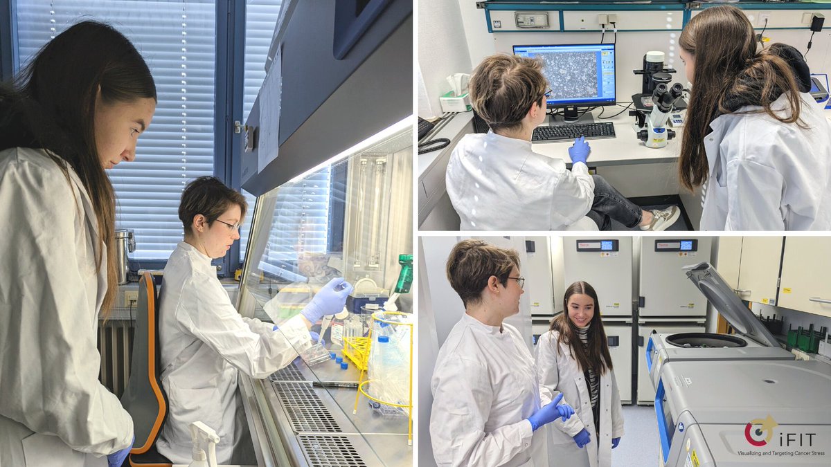 iFIT Cluster of Excellence Universitätsklinikum Tübingen