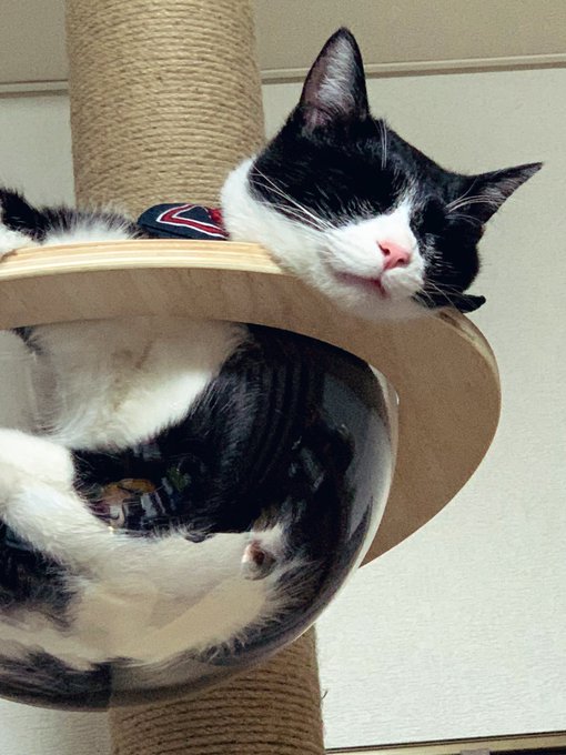 なんかうにゃうにゃ言っておる笑 