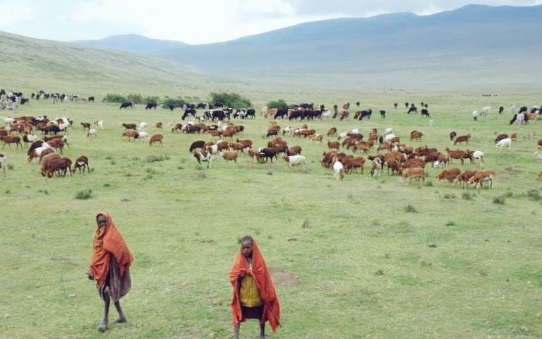 munisi_deborah's tweet photo. Ni Kufuatia mjadala uliokutanisha Asasi za Kiraia, Wanaharakati wa Haki za Binadamu,Umma wa Watanzania na Wanawake, kupitia mtandao wa Zoom Meeting, hususani Mgogoro wa Ngorongoro na Loliondo ulioandaliwa na Shirika la Civic and Legal Aid Organization (CILAO) https://t.co/UtHmkgvVz9