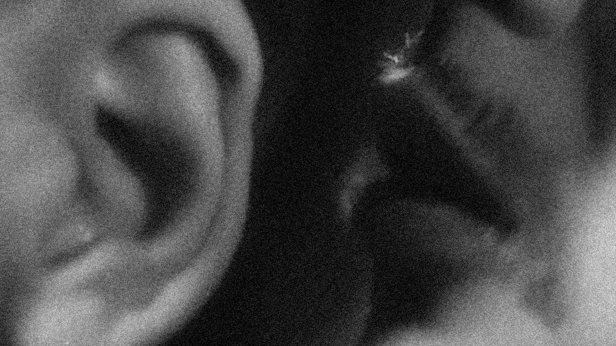 filmscalpel's tweet photo. The Essay Library is creating another anthology of 60-second video essays.  The central theme for this fifth volume is SECRETS. If you want to contribute a micro-essay, head over to this webpage for more info:
https://t.co/YxZFM0lGG0 https://t.co/Y8X2KLxz0A