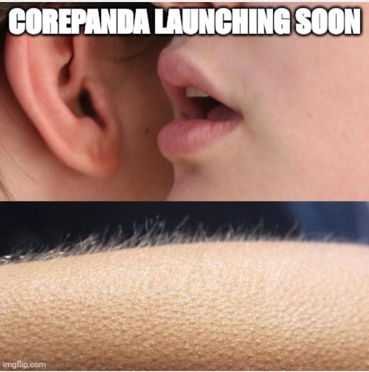 CorePanda_token's tweet photo. #Corepanda_token to be distributed soon... Meme Contest coming up... Over 20,000 $CPT to be won. Let's see your meme submission

Rules:
1. Create a meme about CorePanda on your twitter handle
2. Tag #corepanda and 5 of your friends and add your wallet address
Let's LFG guys 🔥💪 https://t.co/15rkldezCG