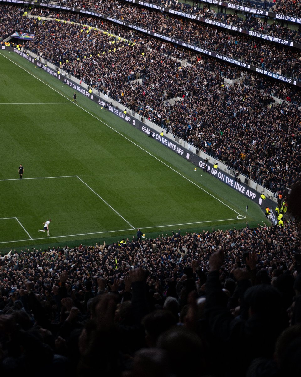 samliamcornish's tweet photo. A few of my favourite shots from yesterday's battering of Chelsea... 📸

More on my Instagram: @samliamcornish

#COYS #Tottenham #Spurs #PremierLeague #TotChe https://t.co/8l9olpH5wR