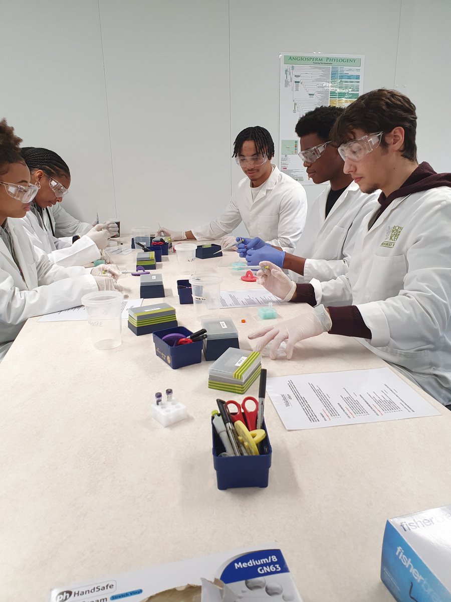 StDunstansColl's tweet photo. Last week, our Year 13 biologists visited Wakehurst Place https://t.co/UwlWEa7rnU
@StDunstansSTEM #STEM #STEMatSDC https://t.co/WYQuvKndWi