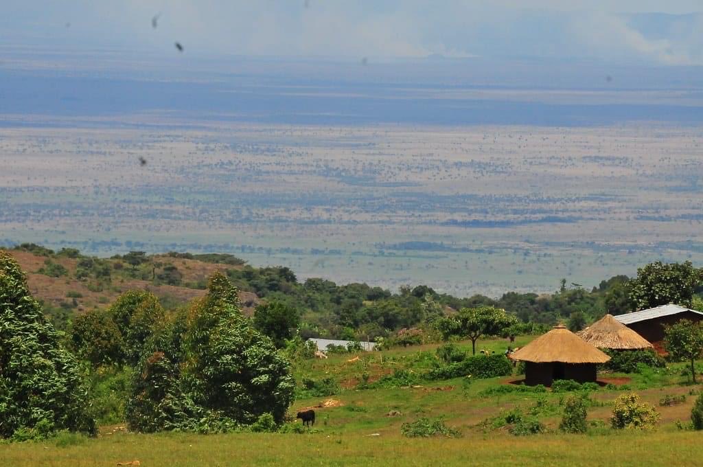 kampetero's tweet photo. #Sapiiny also known as #Sebei presents 3 unique &amp; mutually reinforcing ecological zones. Lower Land (under 1200m asl), midland (1200-2500m asl) &amp; upland (2500-4200m asl). Its so beautiful but being destroyed by p’ple &amp; climate change. I’m doing my part to safe it- will you join? https://t.co/QxvL01Pv0O