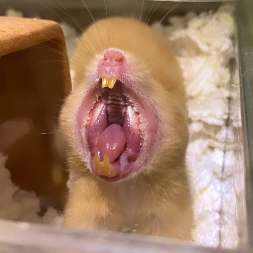 と、、、撮れた！！！！！！！！😂😂