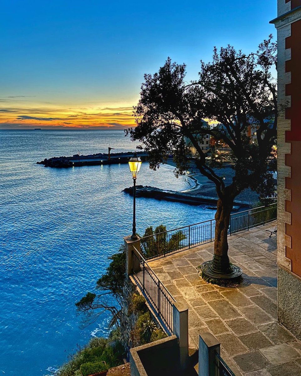visitriviera's tweet photo. #LiguriadInverno❄️
•••
📍 #Bogliasco
🗺 https://t.co/Sm5UAxRWx0
📷 duzzyna
❤️ #27febbraio #Genovesato #VisitRiviera #iloveliguria #Liguria #Italy #Italia #rivieraligure #lamialiguria #turismoinliguria #orgoglioliguria
💙💛 https://t.co/gNFO2UoqGn