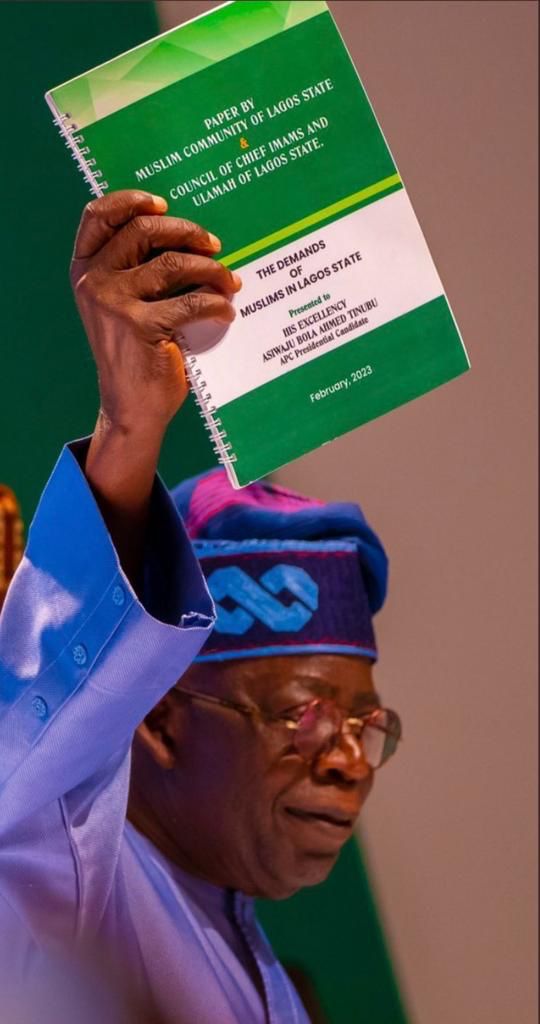 The Goliath and religious bigot of Lagos State has been defeated in Lagos by the Obidients despite all electoral shenanigans. A new Nigeria is POssible. Hold unto God, He will see us through. Congratulations to Obidients. We moovee!!!