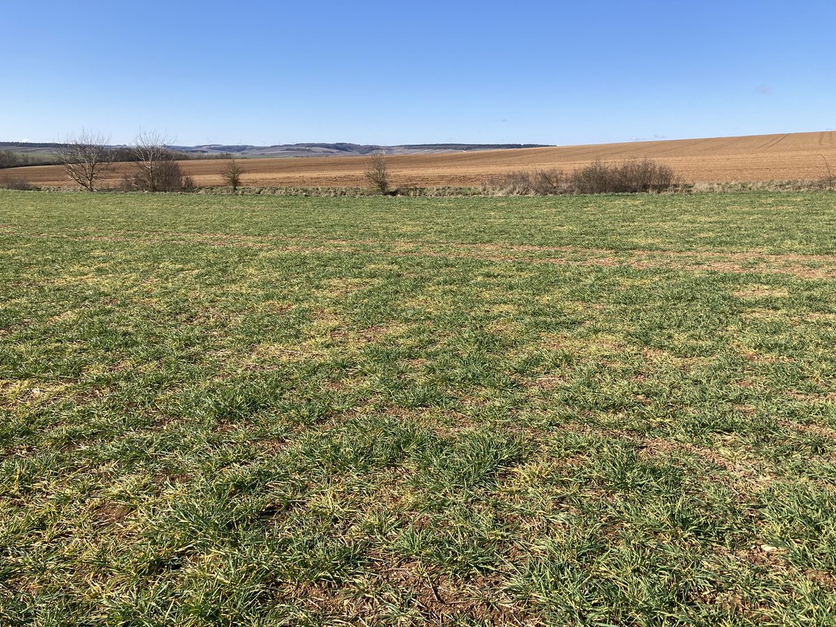 Olivier COSTE tweet media