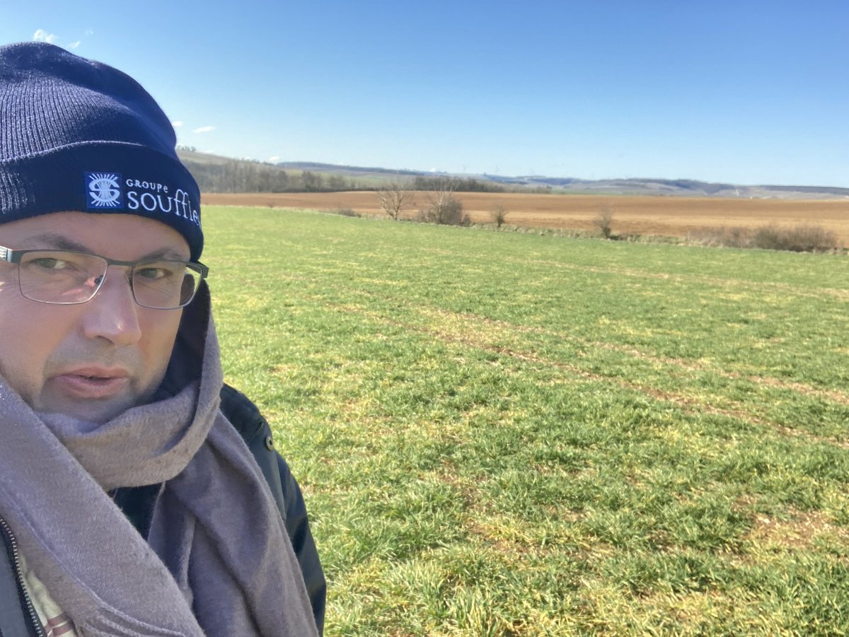 Olivier COSTE tweet media