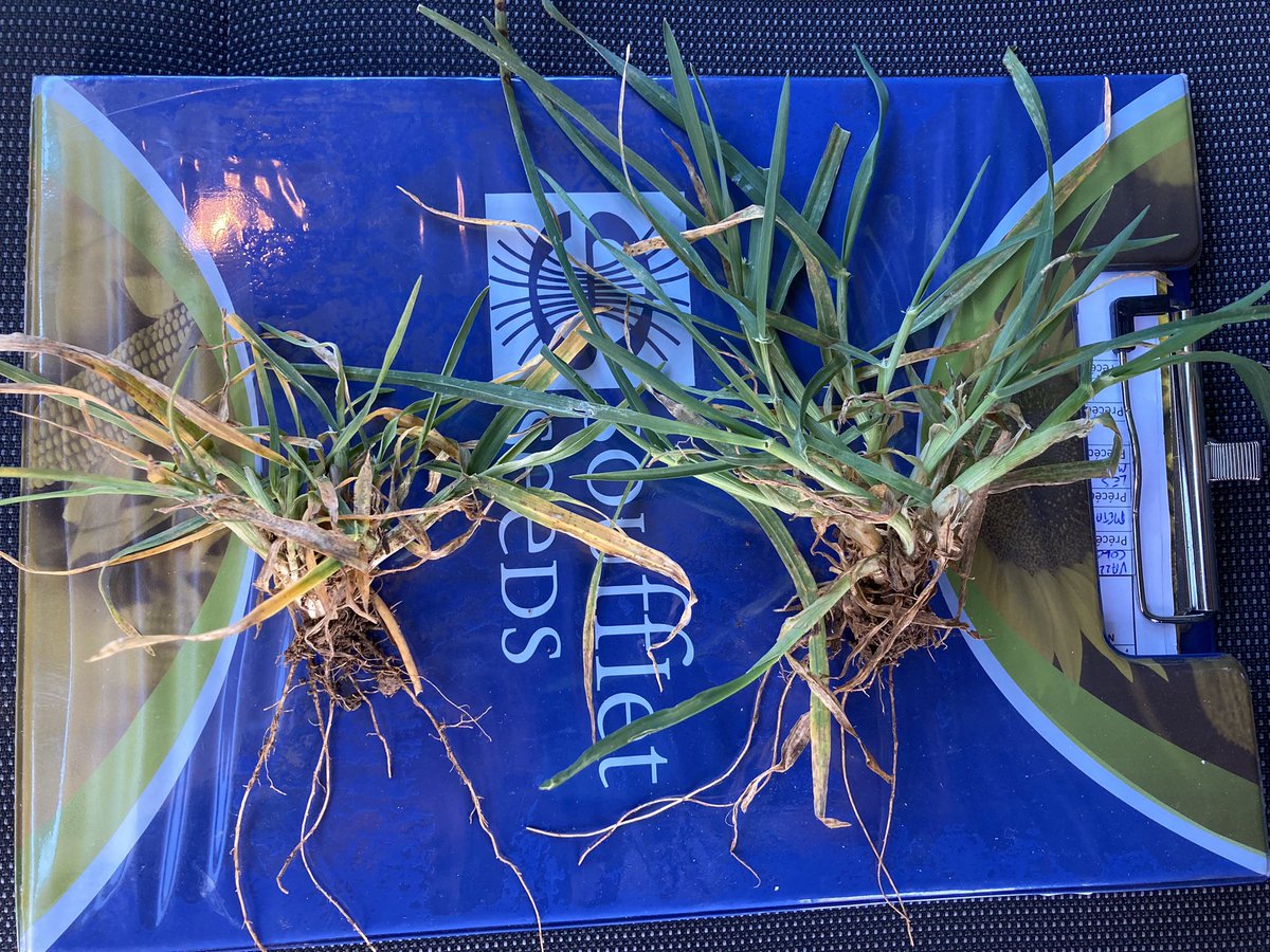 Olivier COSTE tweet media