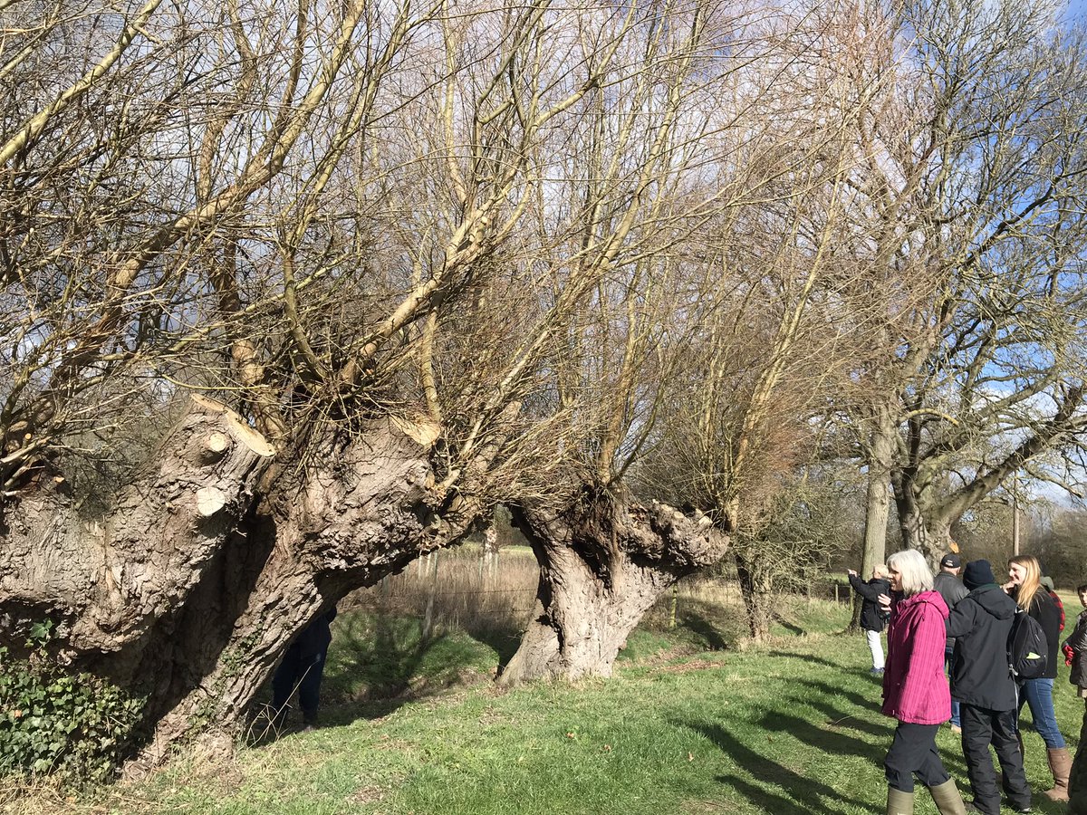 Fishlake and Sykehouse Actions for Climate Change tweet media