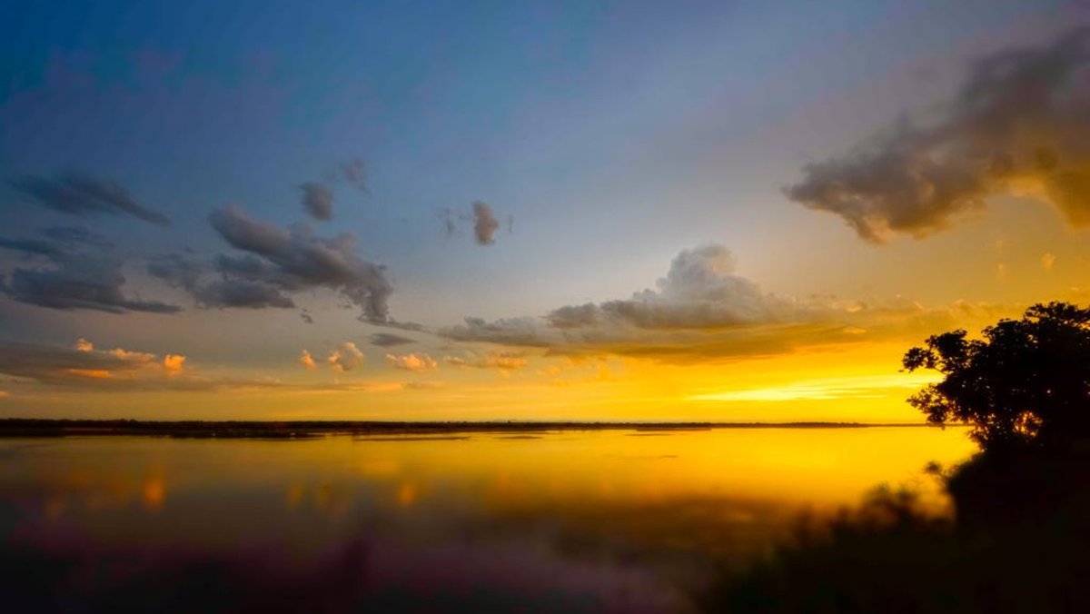 RoyalZambezi's tweet photo. Landscapes of the Lower Zambezi  💚
Photo Credit: @c_j_heath
#RoyalZambezi #WhereLuxuryMeetsTheWild #Wilderness #LowerZambezi #ZambeziRiver #SafariMoments #DiscoverZambia https://t.co/zyeagy1JVS