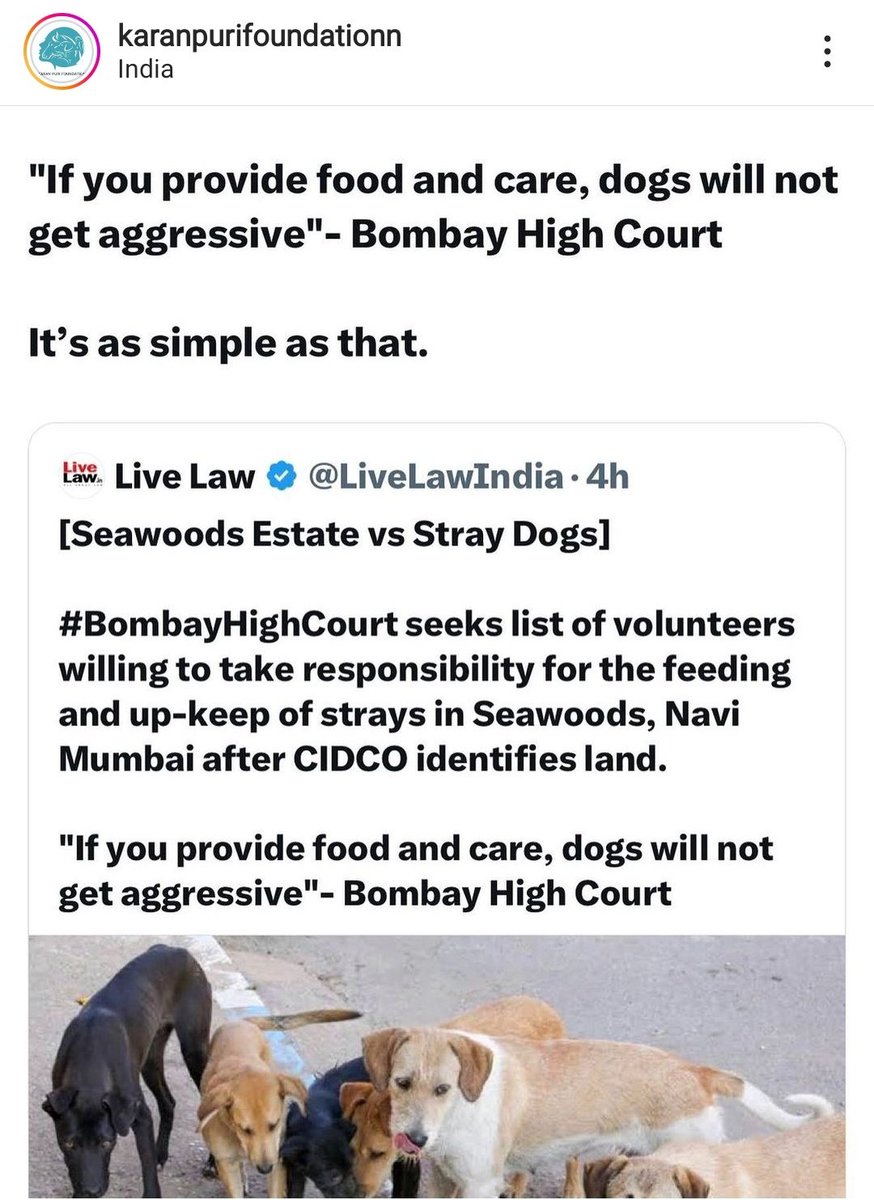 SkendhaSingh's tweet photo. For everyone who likes to say animal feeders create behavioral issues with stray dogs - you are so far from reality. Thank you to the hon. Bombay HC for affirming our experience!
Via @KaranPuri10
#straysofindia https://t.co/ObHdKWF0h4