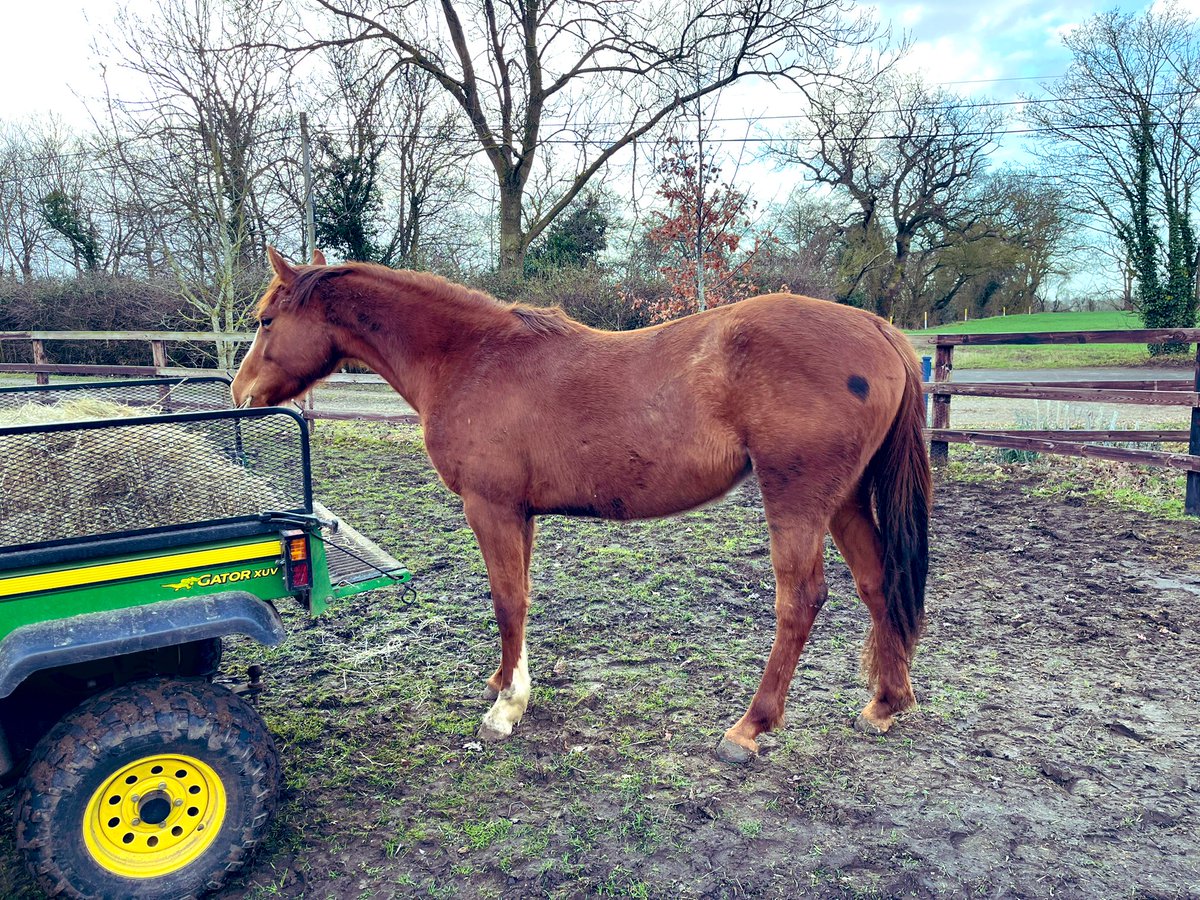 Kellie Fisher tweet media