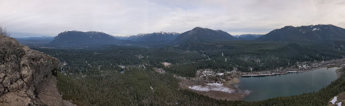 Locksley Kolakowski tweet media