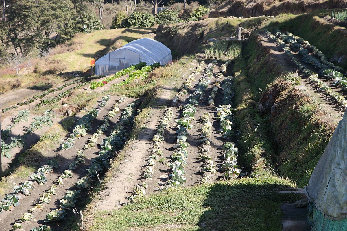 lafaimexpl's tweet photo. Février sur https://t.co/gN5rjSQLq9 : 
#Science, quelle science ? Problème ou #Solutions ? 
Le «  Cerrado  » brésilien : un cas d’école du développement #Agricole « moderne  » 
Deux chroniques sur les conséquences de notre obsession du #marché
https://t.co/bDOhbrAgJu https://t.co/b13JoncX0W