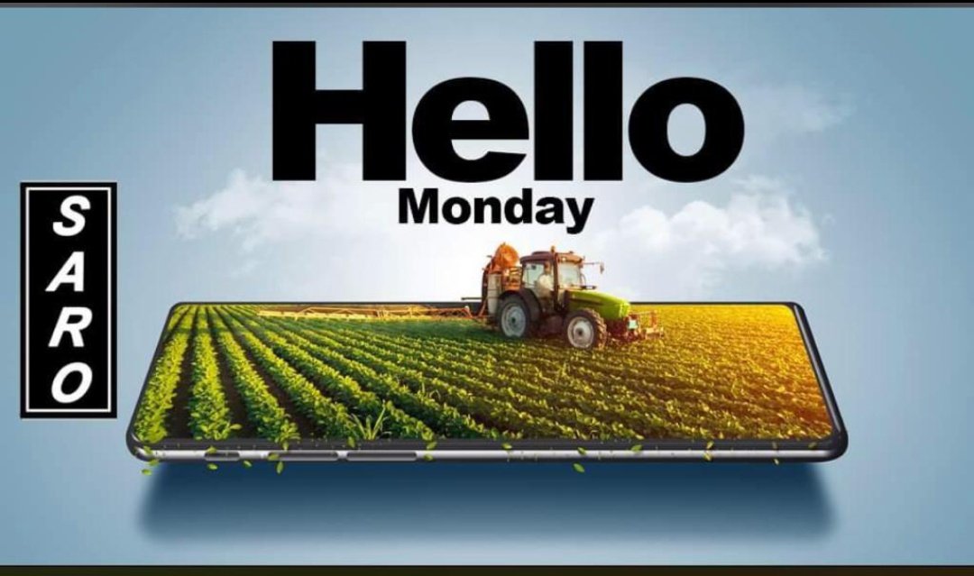 SaroAgro's tweet photo. Happy Monday folks ☺️
#farmingwithsaro https://t.co/IxVVCShu2P