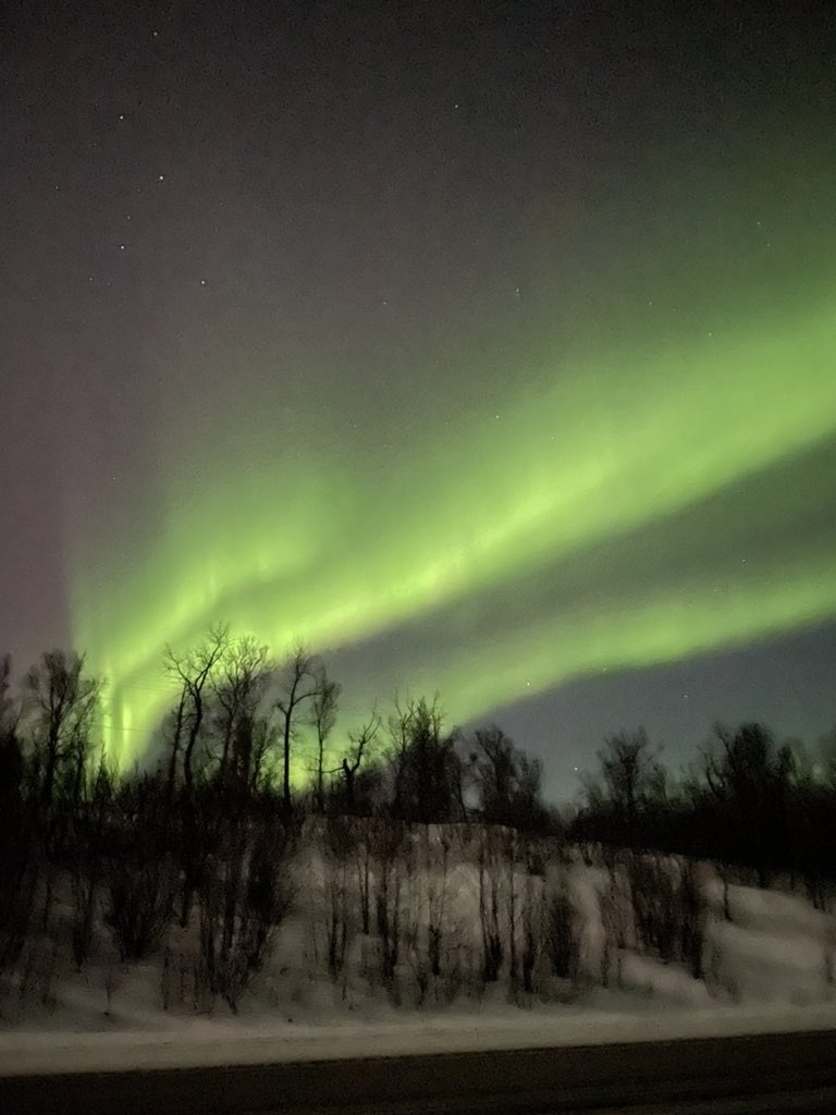 The #aurora are going crazy in #alaska