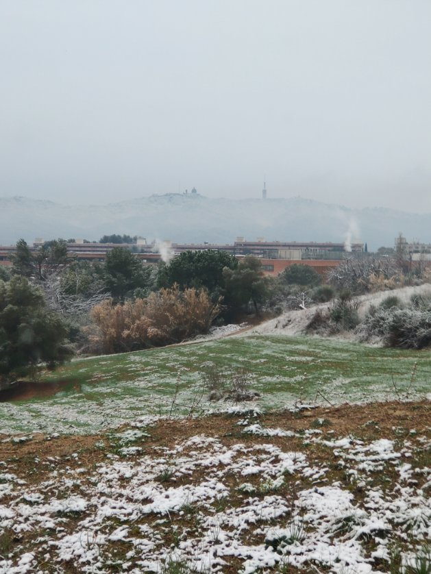 Anava a fer un tuit però m'he quedat en blanc.