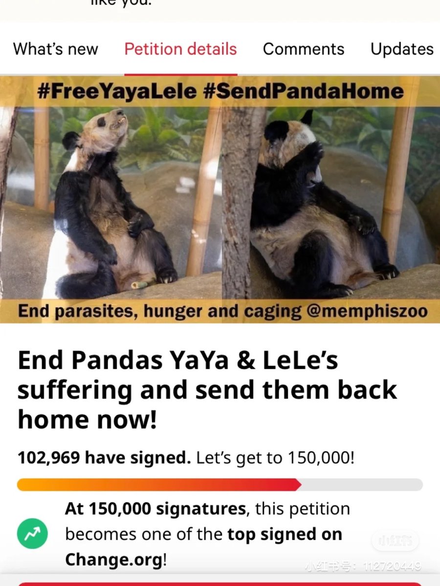 #NationalPandaDay There are 9 pandas in the US. YaYa &amp; LeLe, held captive at Memphis Zoo, suffer from parasites, mental distress, low-quality bamboo, and a lack of nutrition. Join <a href="/PandaVoicesOrg/">pandavoices.org</a> <a href="/IDAUSA/">In Defense Of Animals</a> to support #SaveYaYaLeLe with a tweet... chng.it/TvFSMCMH <a href="/Change/">Change.org</a>