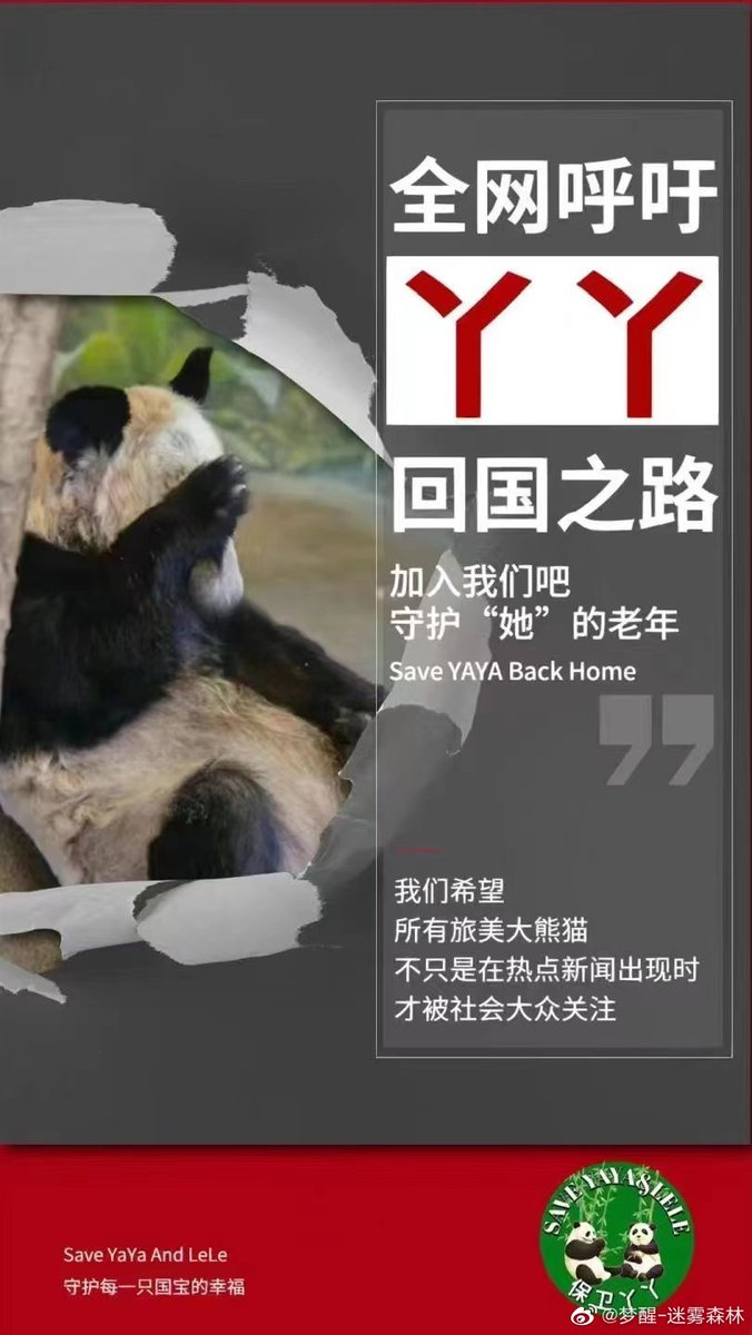 RainbowM0728's tweet photo. #NationalPandaDay There are 9 pandas in the US. YaYa &amp; LeLe, held captive at Memphis Zoo, suffer from parasites, mental distress, low-quality bamboo, and a lack of nutrition. Join @PandaVoicesOrg @IDAUSA to support #SaveYaYaLeLe with a tweet... https://t.co/zt9iTf6Rub @Change https://t.co/eR7pXTxCDO