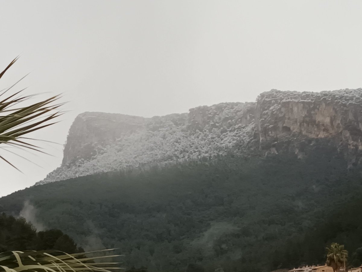 El penyal d'Honor de #Bunyola, un puig molt baix, enfarinoat de #neu!
<a href="/MiquelSalamanca/">Miquel Salamanca</a>
<a href="/Meteodemallorca/">Balearsmeteo</a> <a href="/MeteoIB3/">Méteo IB3</a>