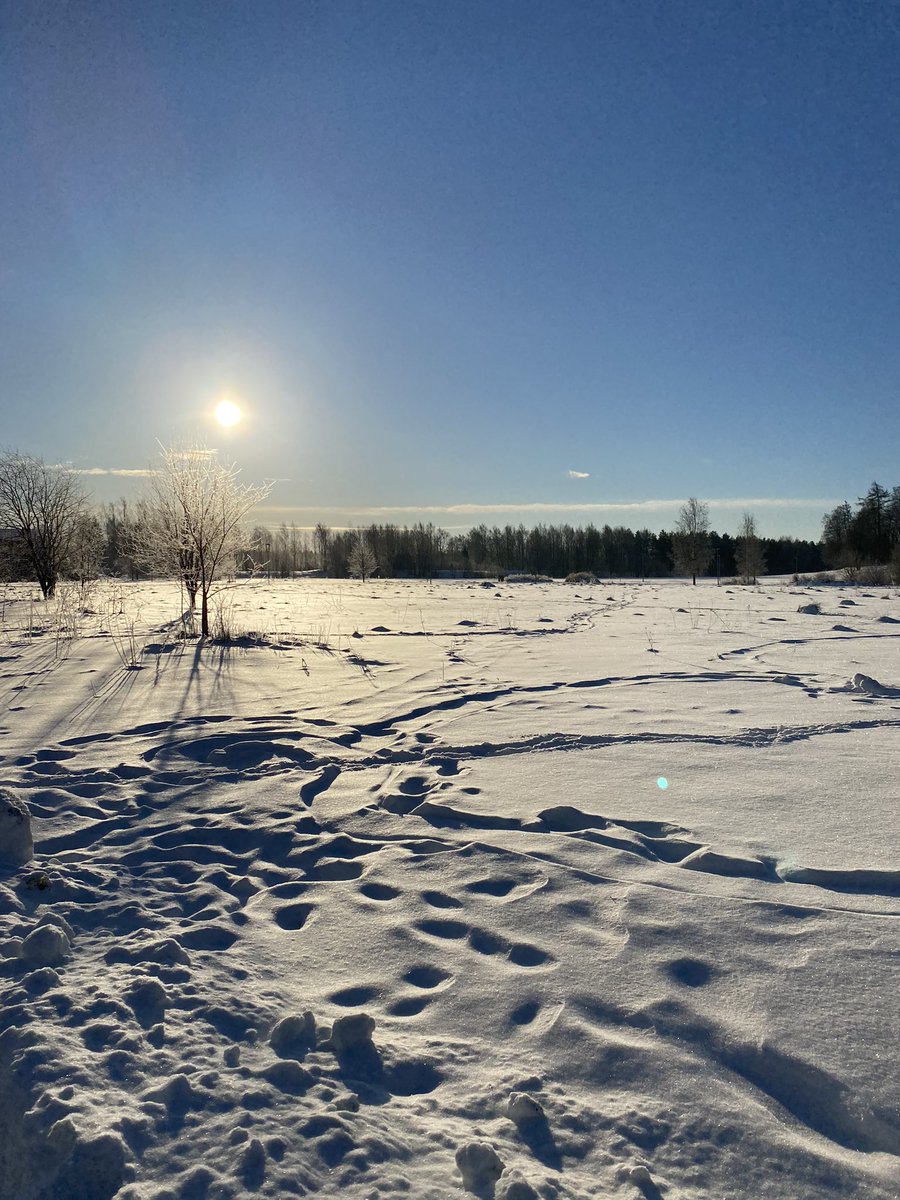 Tänään on oiva päivä lanseerata teollisen aurinkovoiman toimijoiden yhteisponnistus aurinkopuistot.fi, kun itse pääosan esittäjä, aurinko, loistaa aamusta. <a href="/EnergiaHelen/">Helen</a> mukana tässä työssä.
#aurinkosähkö #aurinkopuisto #hiilineutraali