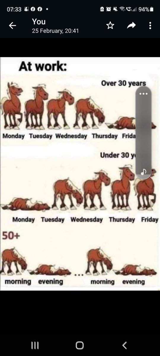 Maogui Reed (@maoguir) on Twitter photo 