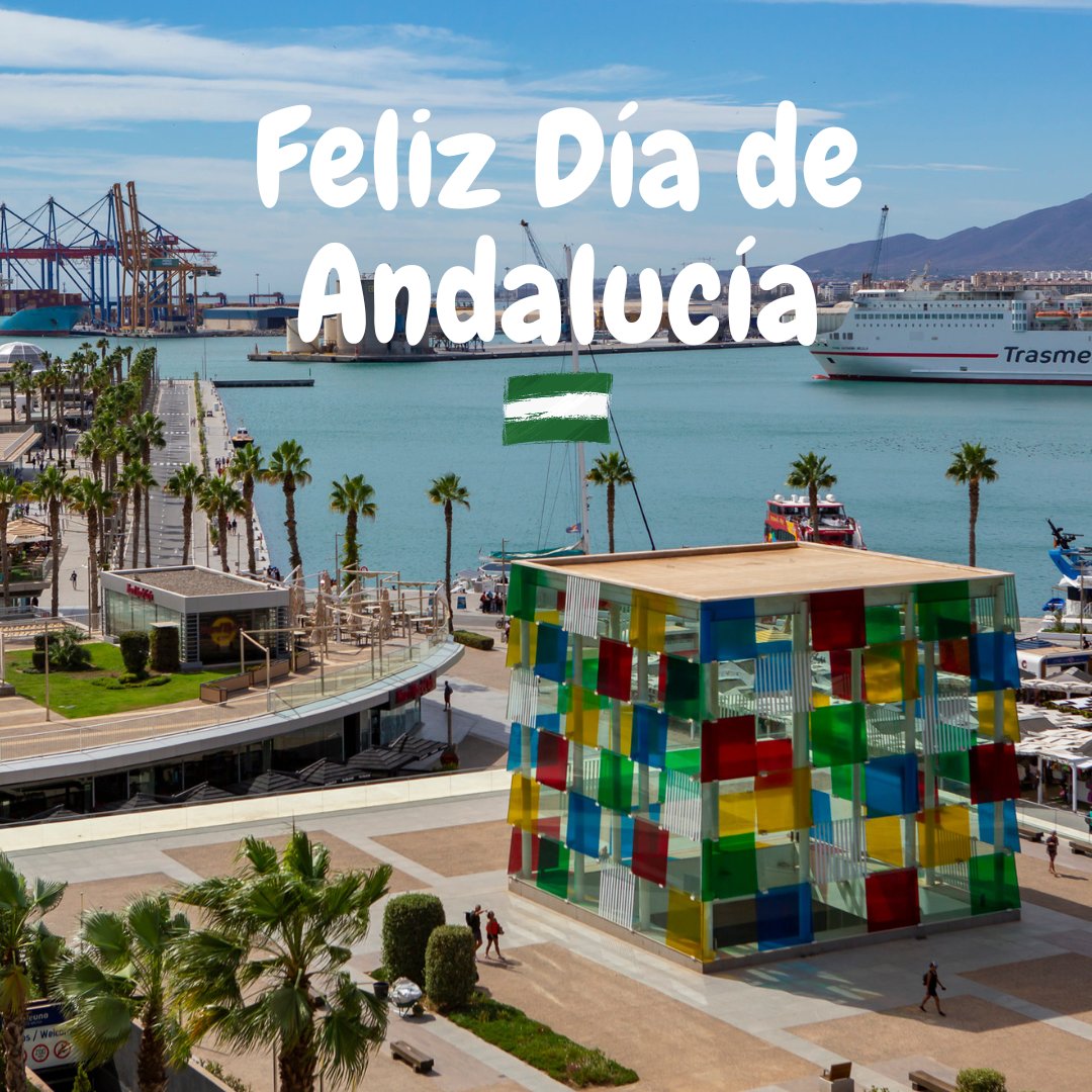 genmalaga tweet media