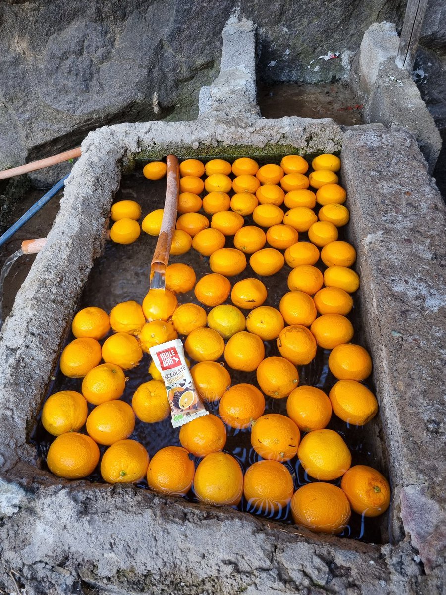 Barre chocolat orange Mulebar bio et vegan
Une tuerie
mulebar.com/fr/3860-barre-…

#energybar #chocolate #trailrunning #snacking #organicbar #bio #Vegan #orange #cycling