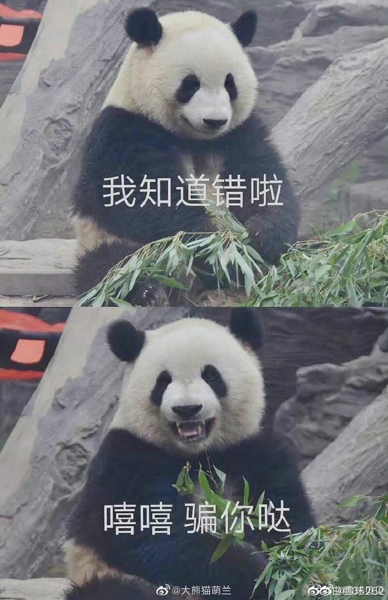 CfthAv's tweet image. GM fam❤️