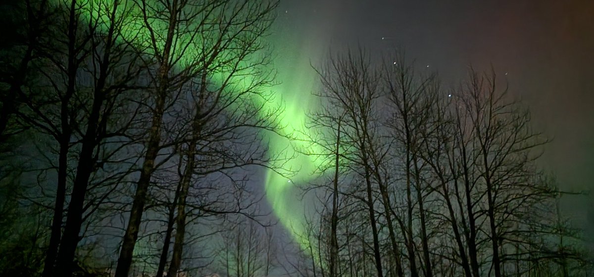Nights like this remind me why I live in the Frozen North... #Alaska #Auroraborealis #NorthernLights #OnlyInAlaska