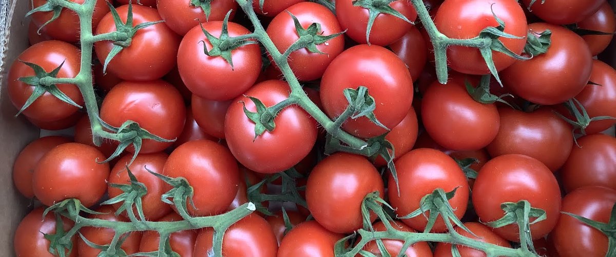 Farm_Direct's tweet image. Happy Monday morning - just a short note to say that we will have the first tomatoes of the new season from Kent.

They complete a reasonable range of early season salad including cucumbers lettuce, watercress &amp;amp; radishes.

#GrowLocal #EatTheSeasons #NutrientsMatter #FoodCrisis