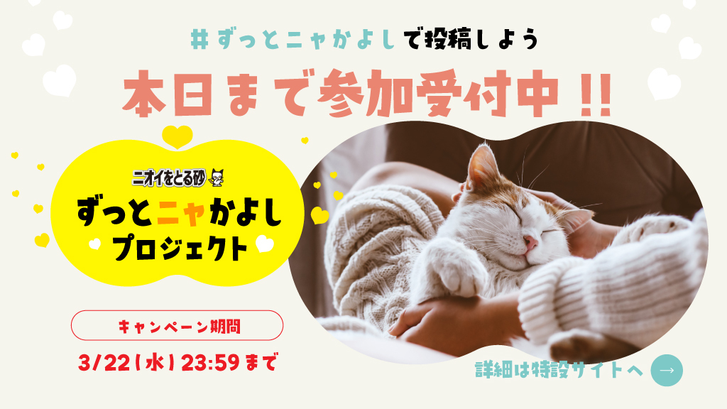 ライオンペット🐱【公式】lion_pet_cat (@lionpetcat1) / Twitter ライオンペット🐱【公式】lion_pet_cat (@lionpetcat1) / Twitter