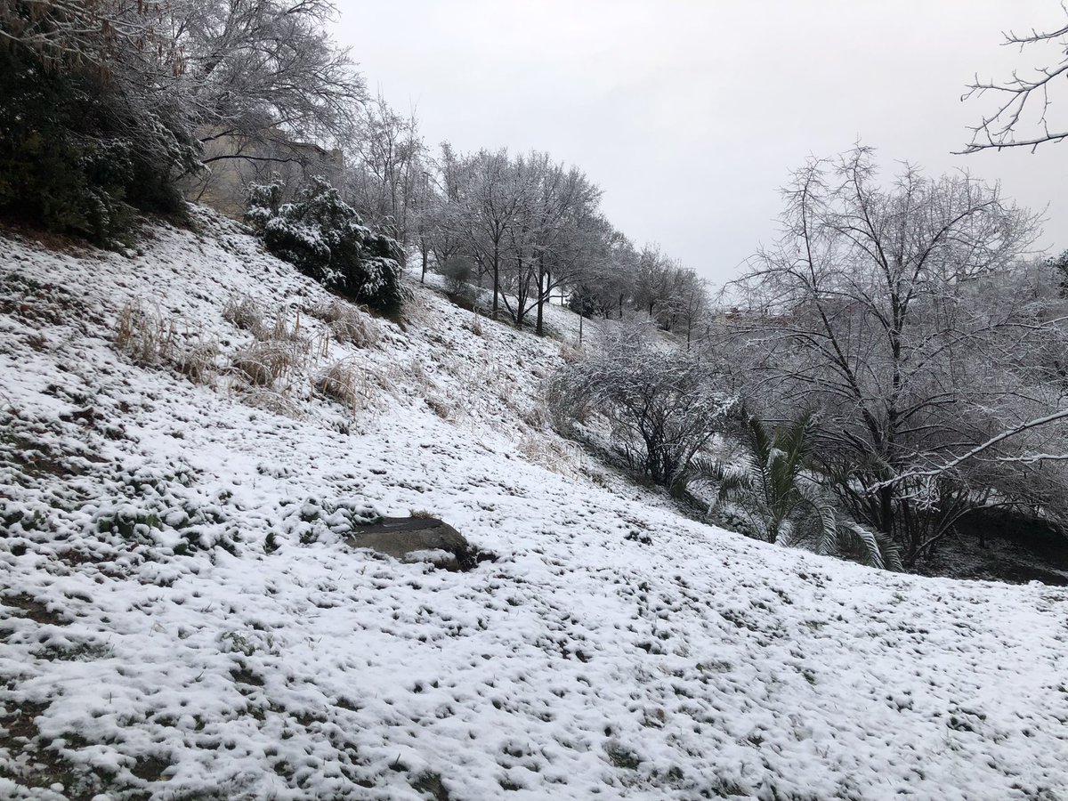 Imatges … ❄️❄️❄️