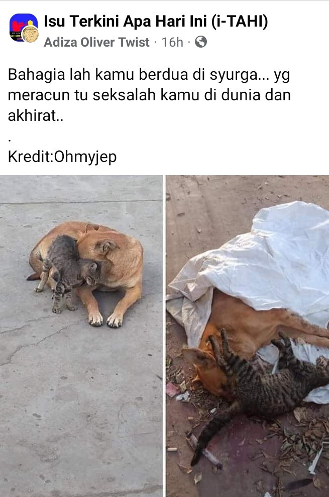 inderasakti_kl's tweet photo. Dua sahabat. Hidup bersama. Mati bersama. Berdua menjadi mangsa racun manusia yang benci mereka.
Kamu berdua damai di sana ye sayang. Kamu takkan disakiti lagi. 😔 https://t.co/OuDjGG8WPb