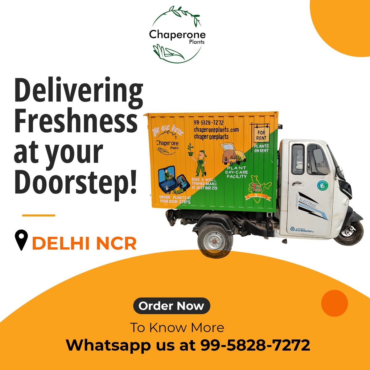 ChaperonePlants's tweet image. Start your spring plant shopping with us! Now delivering your favorite 'Plants on Wheels' right to your doorstep. Contact us at 9958287272 for fresh plants for this spring #springflowers #springplants #buyplants #buyflowers #chaperoneplants #delhincr #buyplantsindia