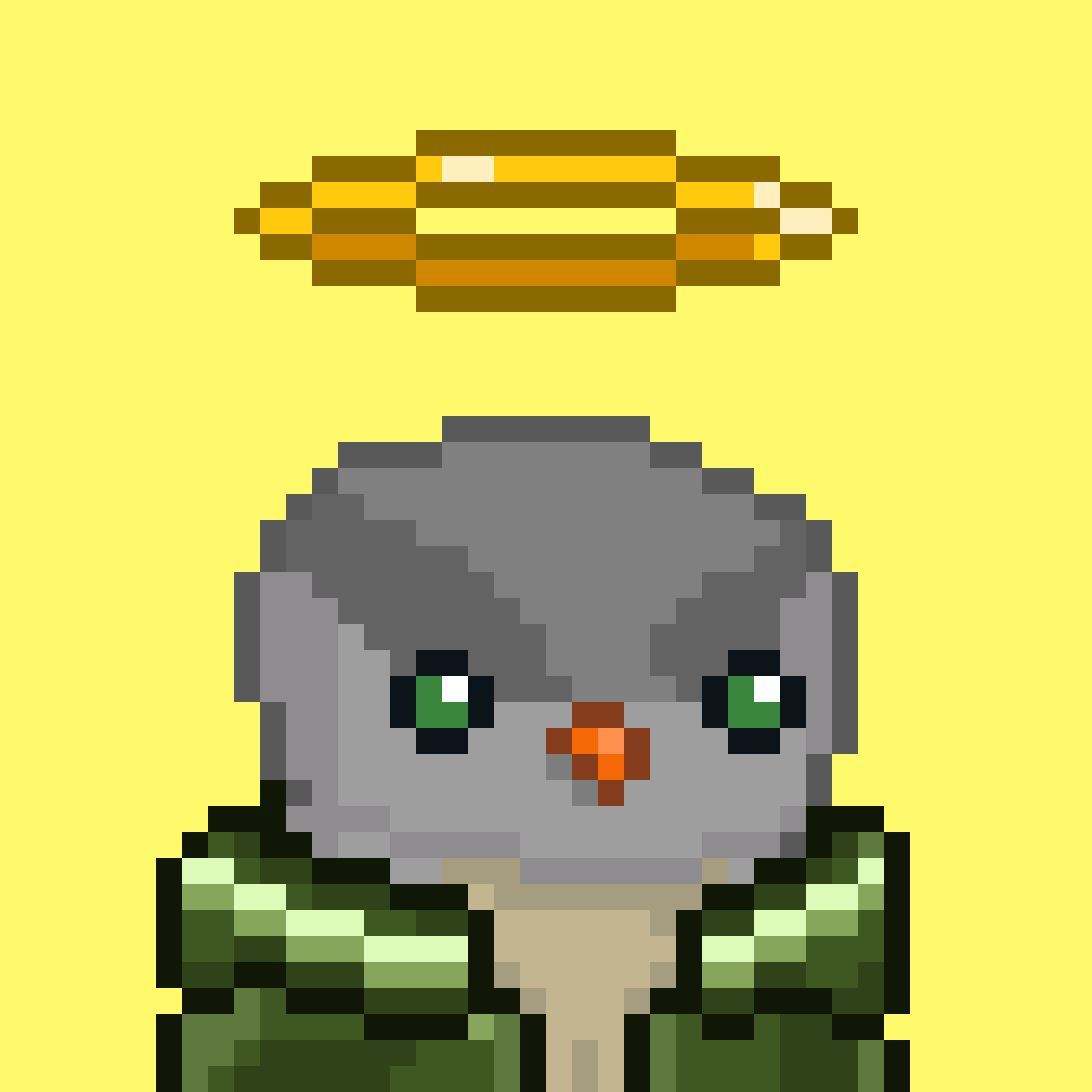 Solarbirds tweet media