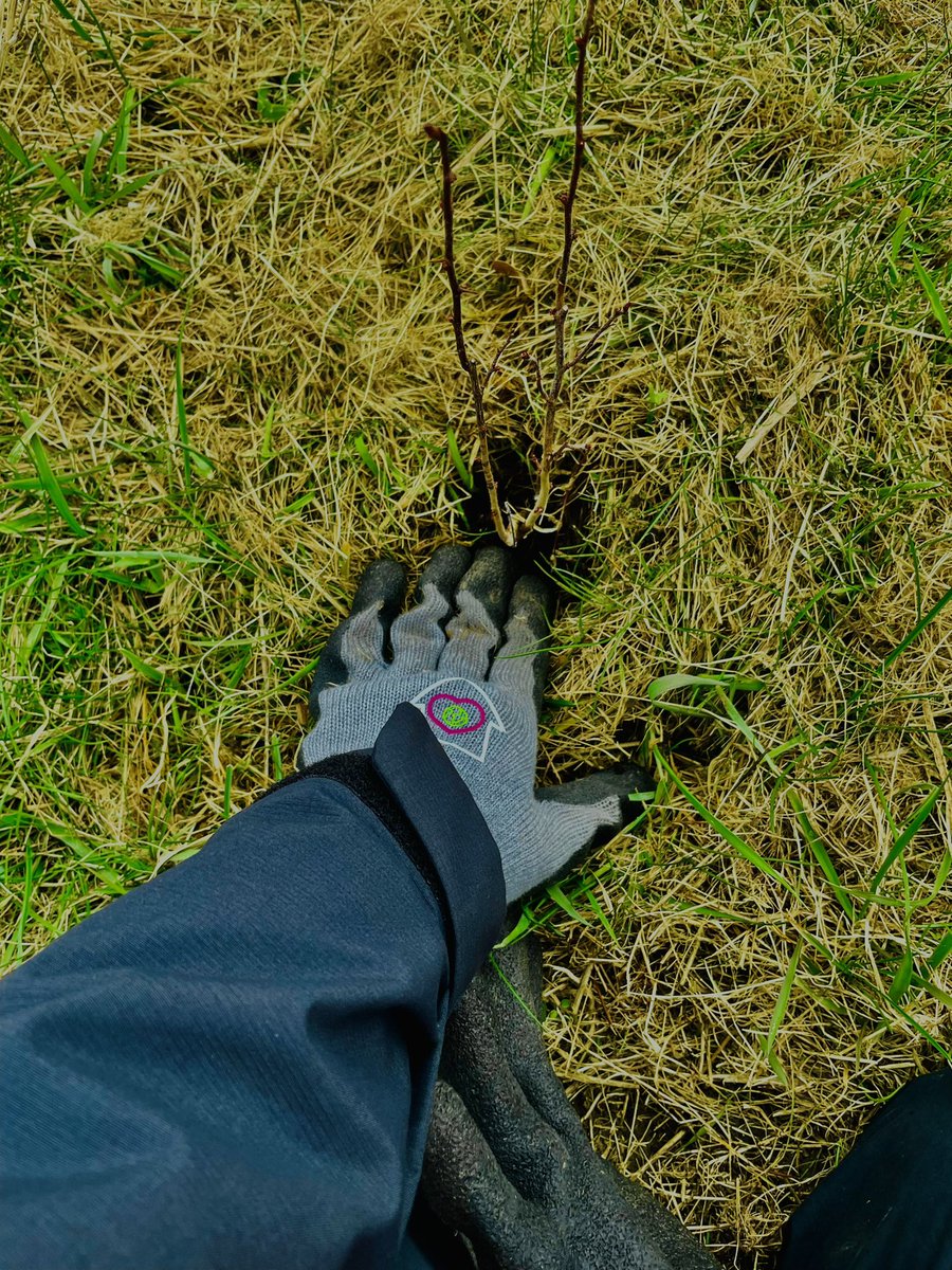 adored earth tweet media