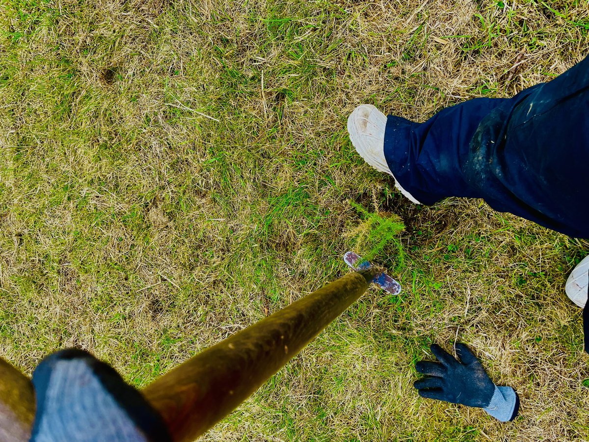 adored earth tweet media