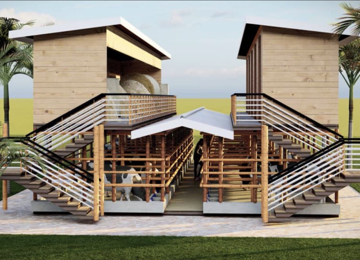 NgaruyeFarm's tweet photo. A modern structure for 50 cows seated on 50*100ft . For more information contact us on +256701898211( WhatsApp) . Let’s make dairy farming simple but beneficial . https://t.co/FlNfzPEYc1