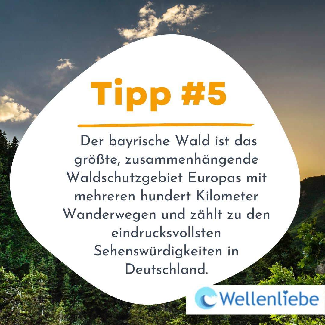In den nächsten Wochen folgen weitere Tipps zu Ausflugszielen und Orten.

Willst du noch weitere Tipps für einzigartige Touren und Erlebnisse? 🏔️ 🛶 

Schau gern in unserem Ratgeber vorbei. Den Link findest du in den Kommentaren. 

#wandern #wanderliebe #wanderlust