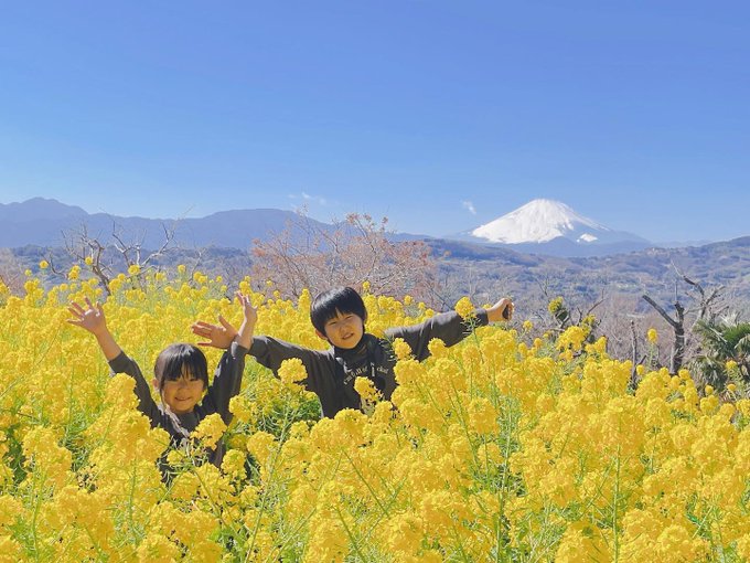 #吾妻山公園毎年きてる大好きな場所♡神奈川県二宮町の吾妻山公園🗻登山（登り15分弱）→絶景→遊具で大人も子供も嬉しい♡臨