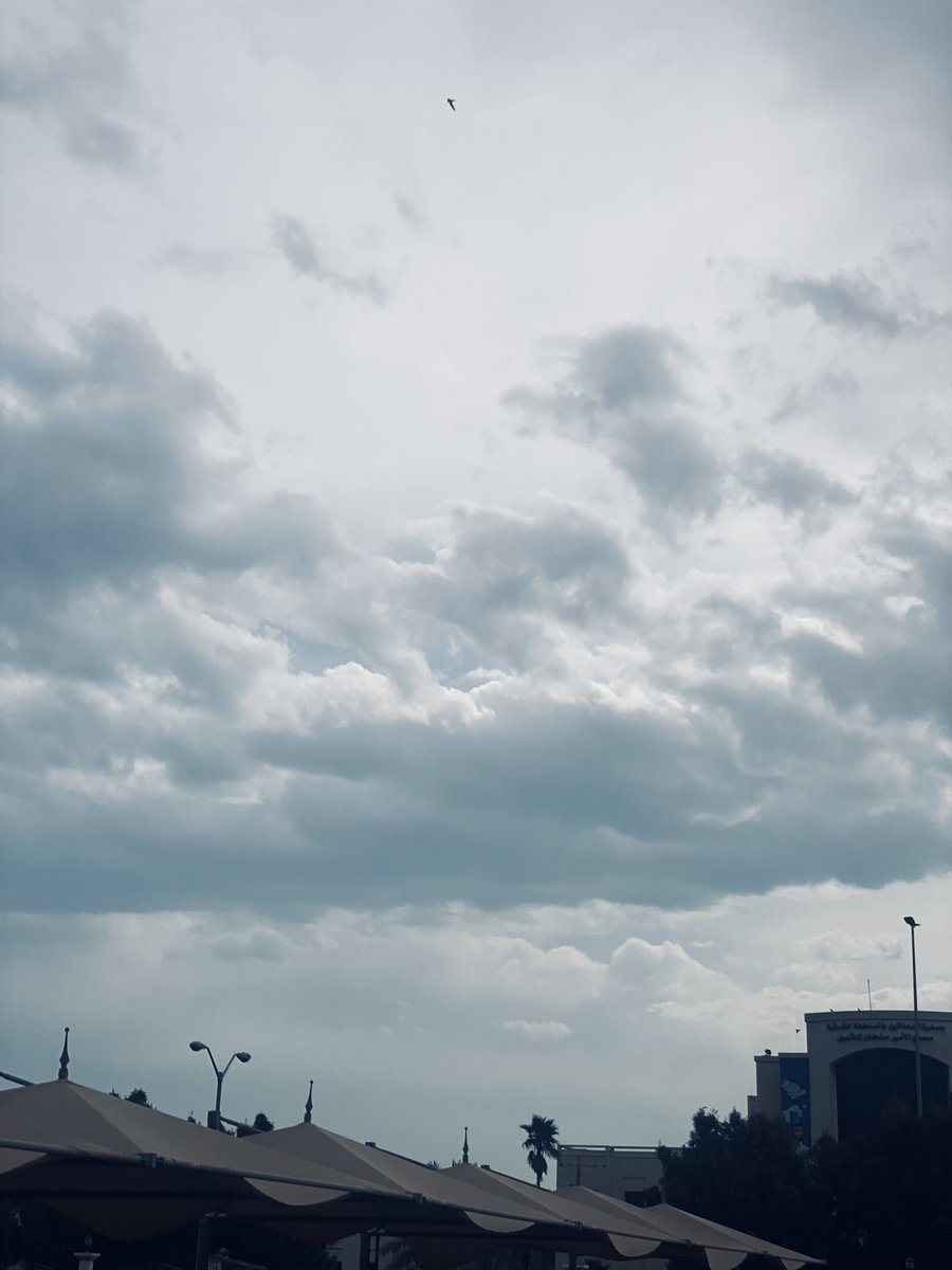 أجواء اليوم ✨