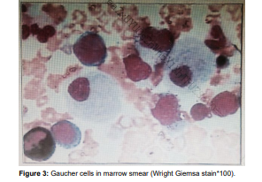 NOJ-Openventio Publishers tweet media