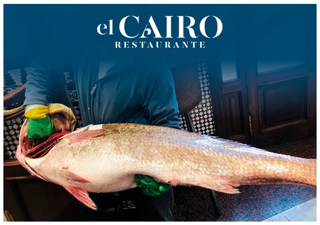¡He aquí nuestra corvina! Disfruta del puente de Andalucía en <a href="/elcairosevilla/">Restaurante El Cairo</a> Estamos en c/Reyes Católicos 13, en pleno centro de Sevilla. Info y reservas ☎️954 213 089 #eats #ñamñam #sevillafood #corvina #FoodiesSevilla #tastyfood #restauranteelcairo