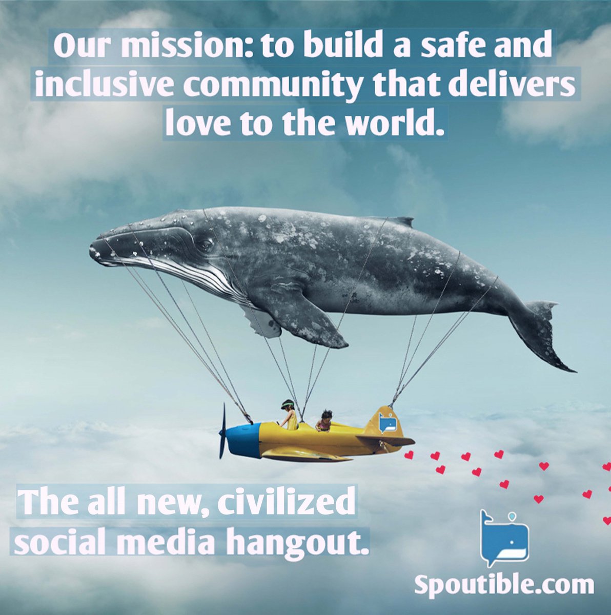 Garry Cohen tweet media